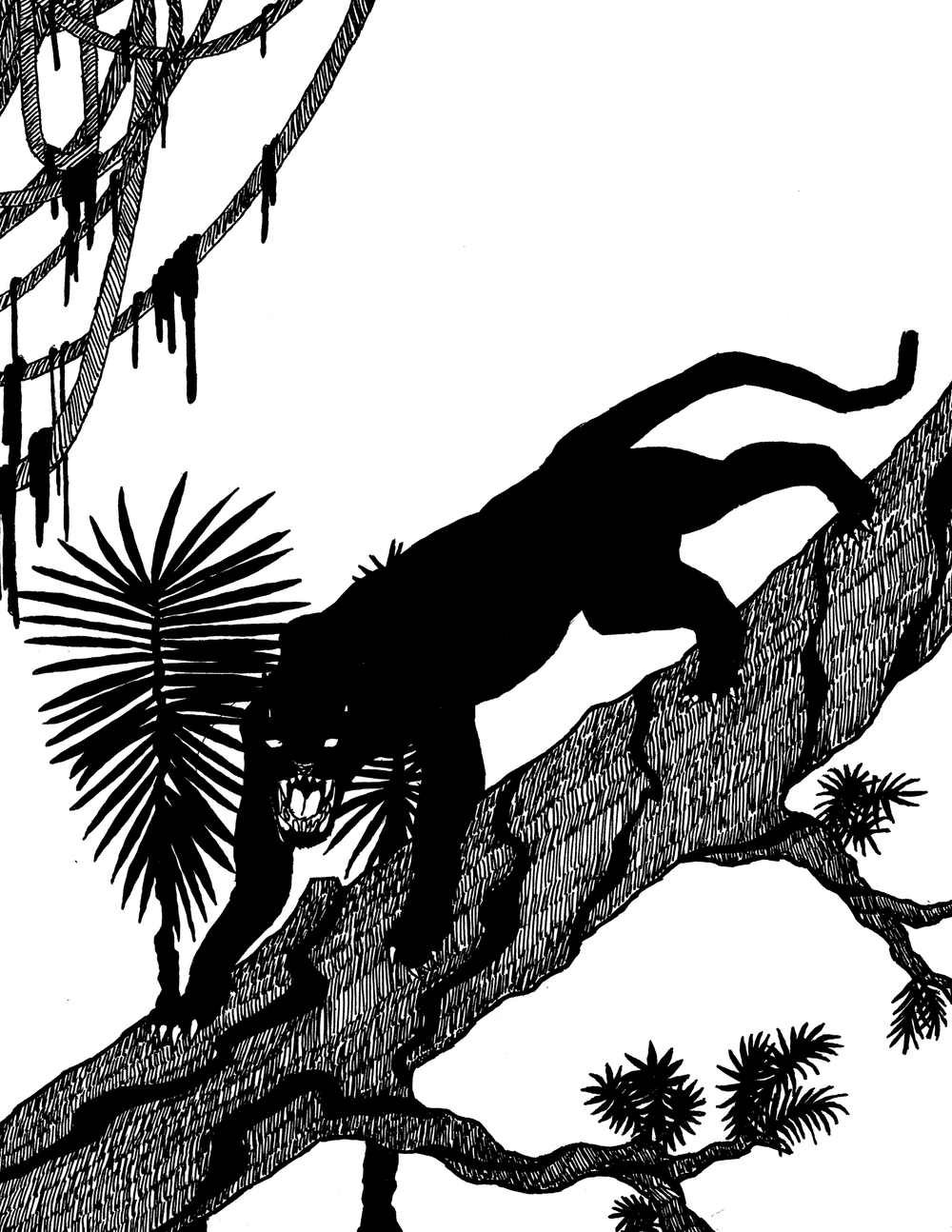 Panther