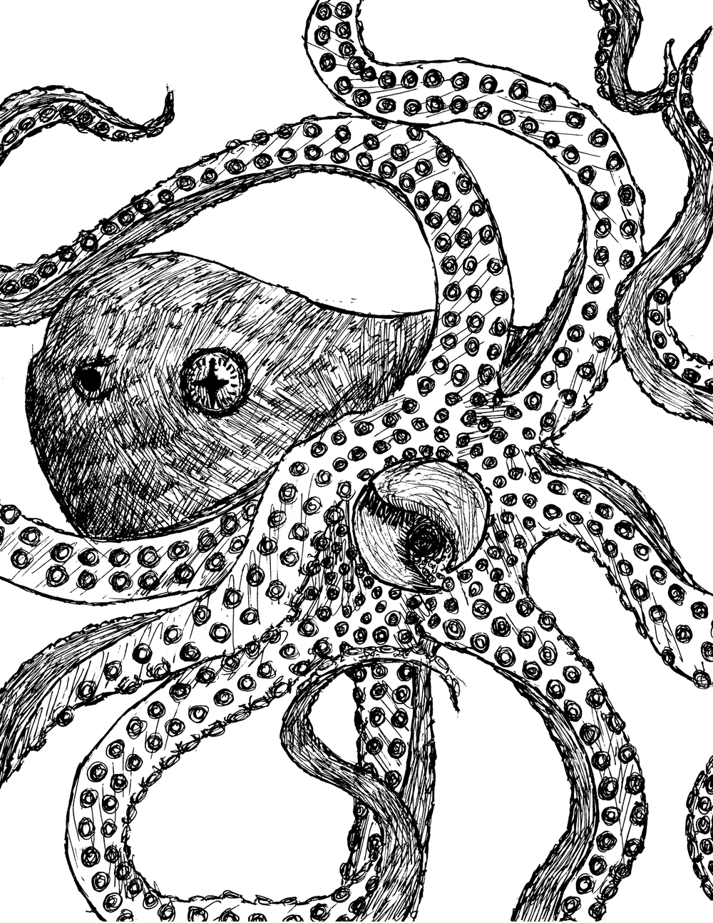 Octopus 