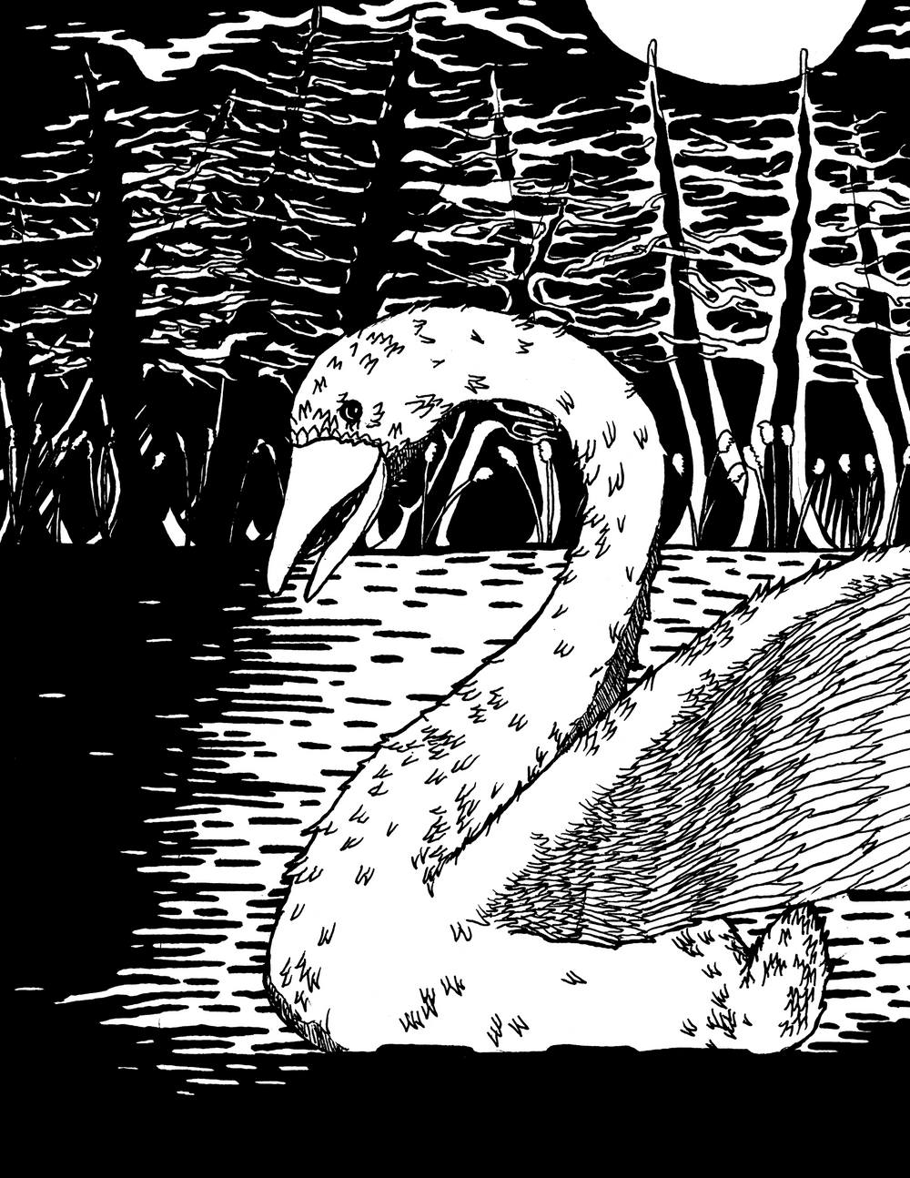 Swan