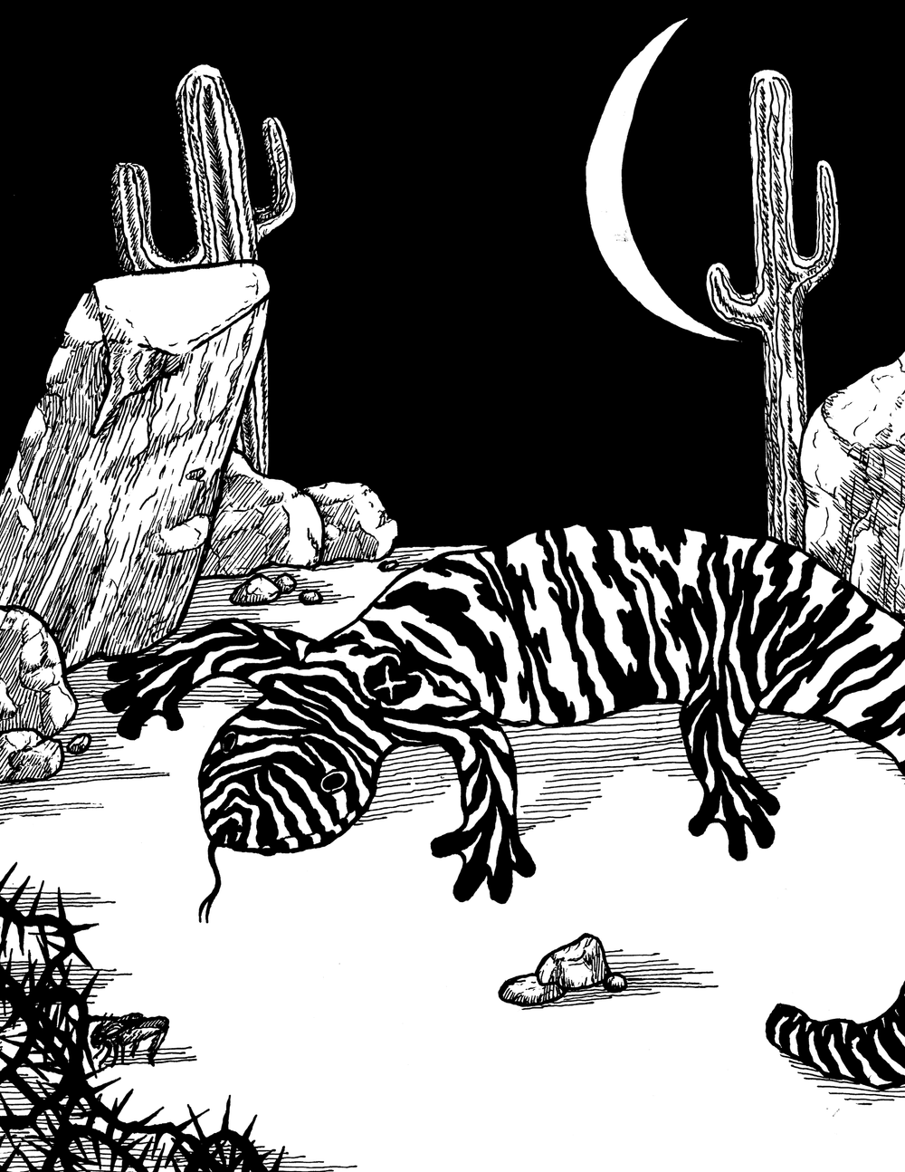 Desert Dwellings
