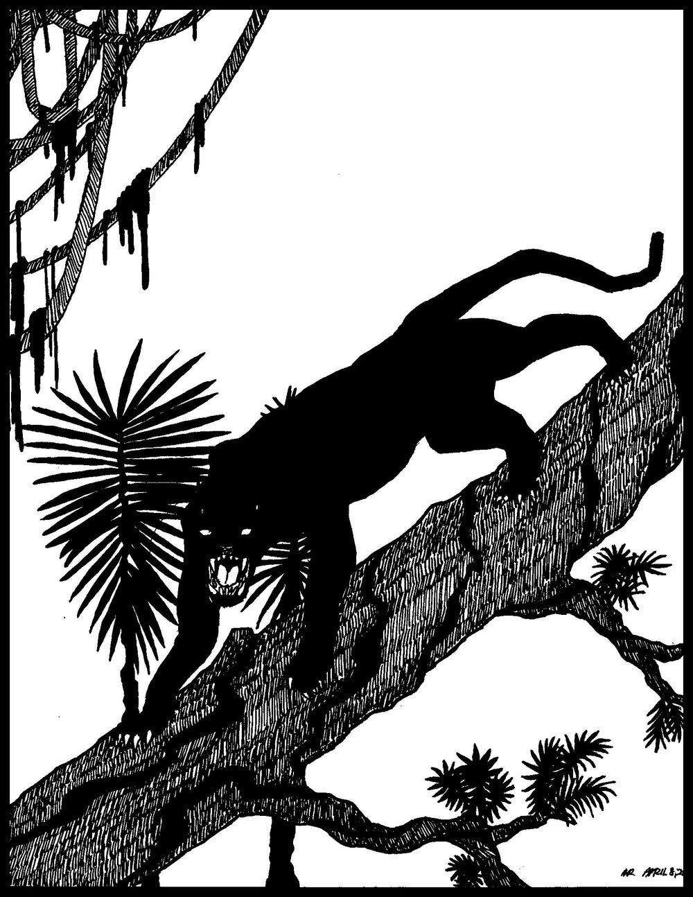 Panther