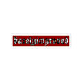 B.I.S. 365 Graphic Vinyl Sticker (Color-wave)